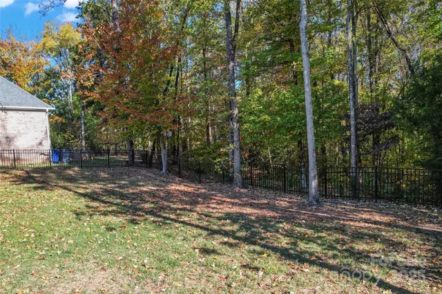 a view of a backyard with trees