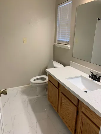 a bathroom with a sink and a toilet