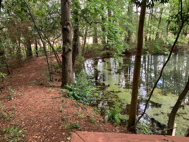 422 Nursery Road Spring, TX 77380 - Photo 22 of 26 a view of outdoor space and trees