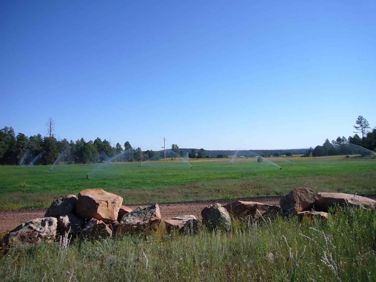 998 Timberland Road Show Low, AZ 85901 - Photo 17 of 25 Pasture Irrigation