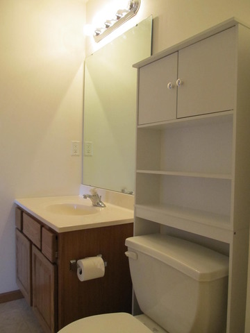 983 Kelly Lane, Unit 983 Sycamore, IL 60178 - Photo 16 of 25 a bathroom with a sink a toilet and shower