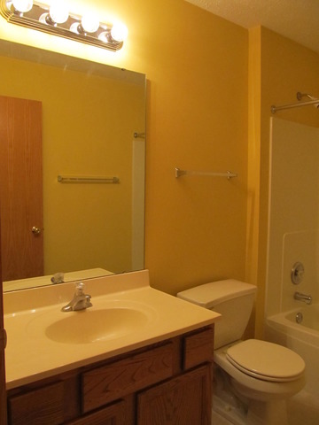 983 Kelly Lane, Unit 983 Sycamore, IL 60178 - Photo 19 of 25 a bathroom with a sink a toilet and shower
