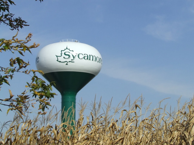 983 Kelly Lane, Unit 983 Sycamore, IL 60178 - Photo 25 of 25 a close up of a potted plant