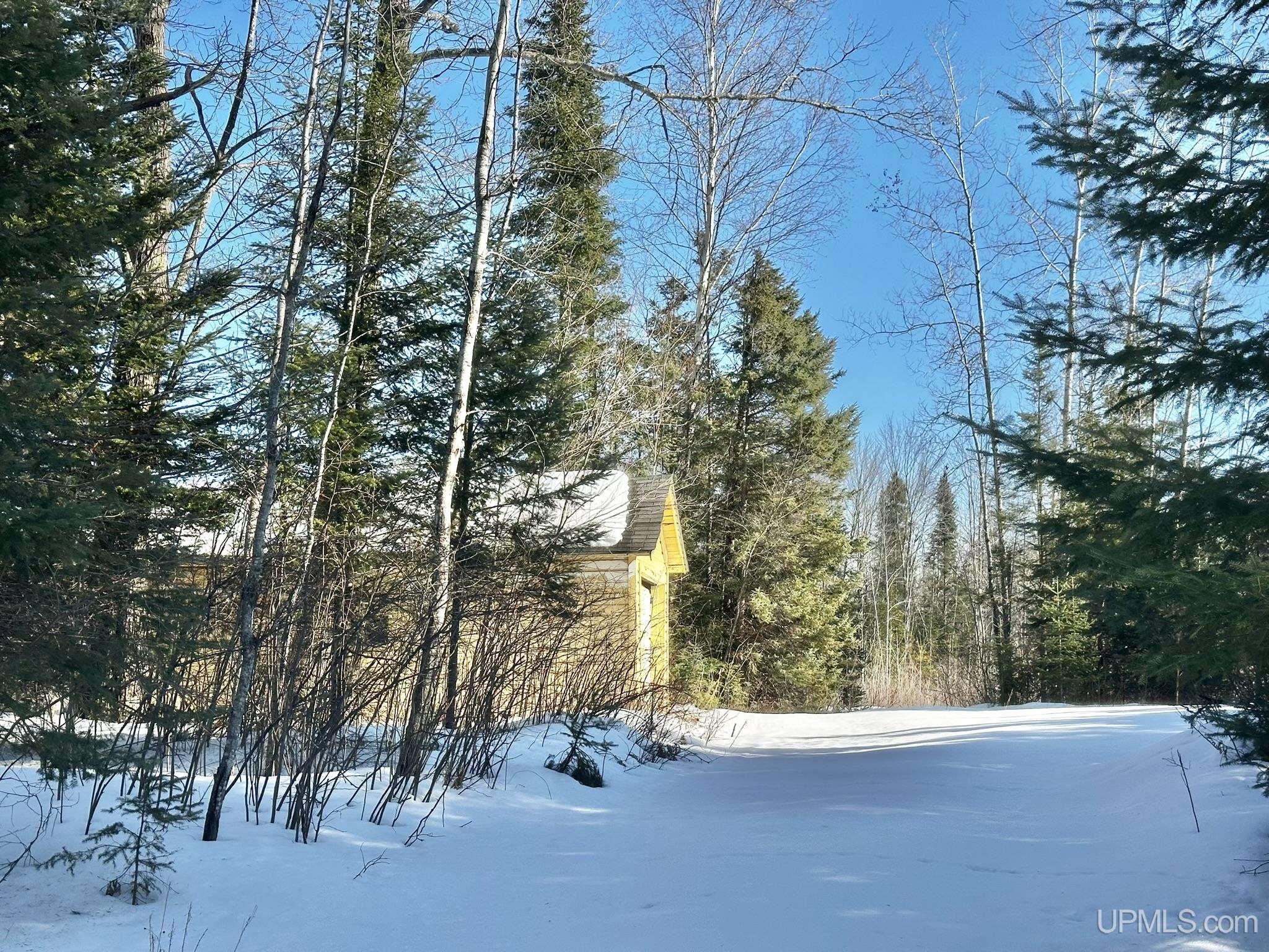 8333 Solberg Lake Road Iron Mountain, MI 49801 - Photo 4 of 8