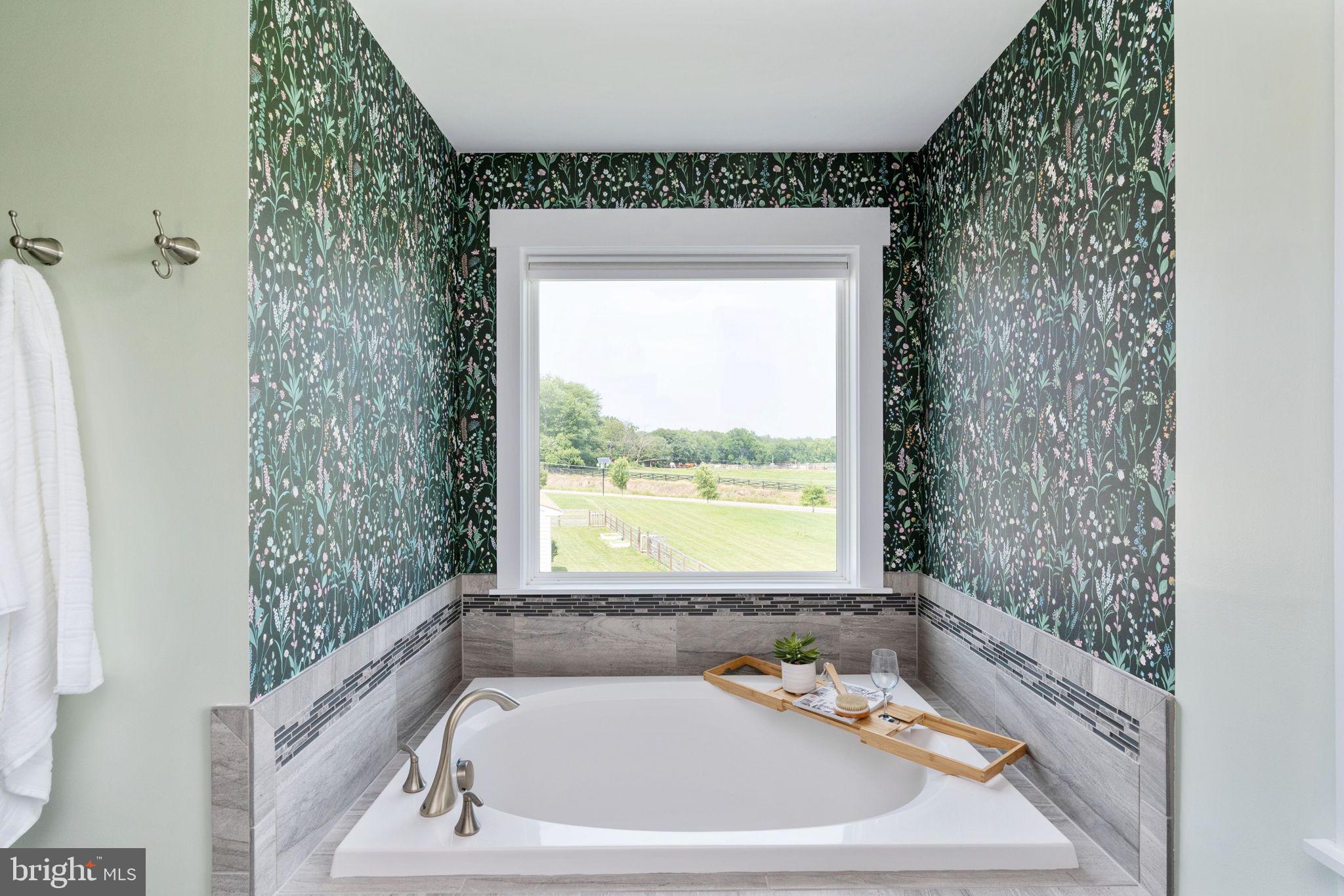 115 Saddle Ridge Lane Fredericksburg, VA 22406 - Photo 56 of 100 a bath tub sitting in a bathroom next to a window