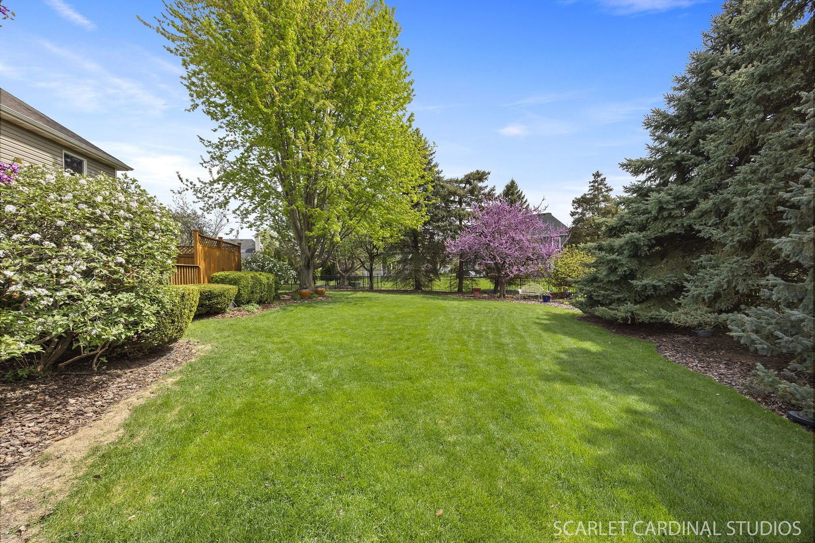 2565 Thornley Court Aurora, IL 60504 - Photo 33 of 59 a view of yard with grass and a trees