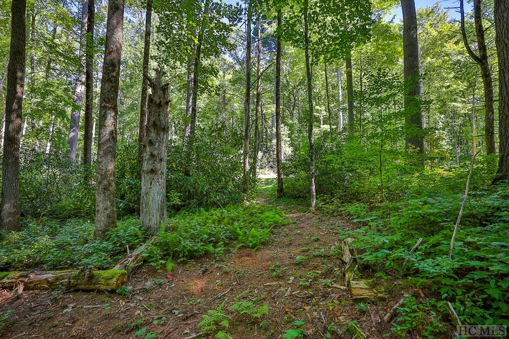 Lot 82 Flagstone Road Sapphire, NC 28774 - Photo 11 of 44 Gallery Image 11