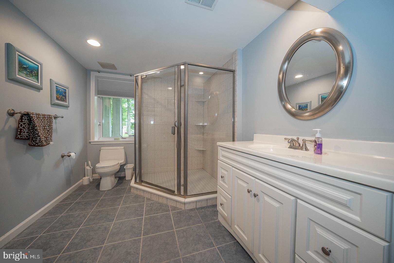 274 Watch Hill Road Exton, PA 19341 - Photo 50 of 58 Full Bathroom in Lower Level