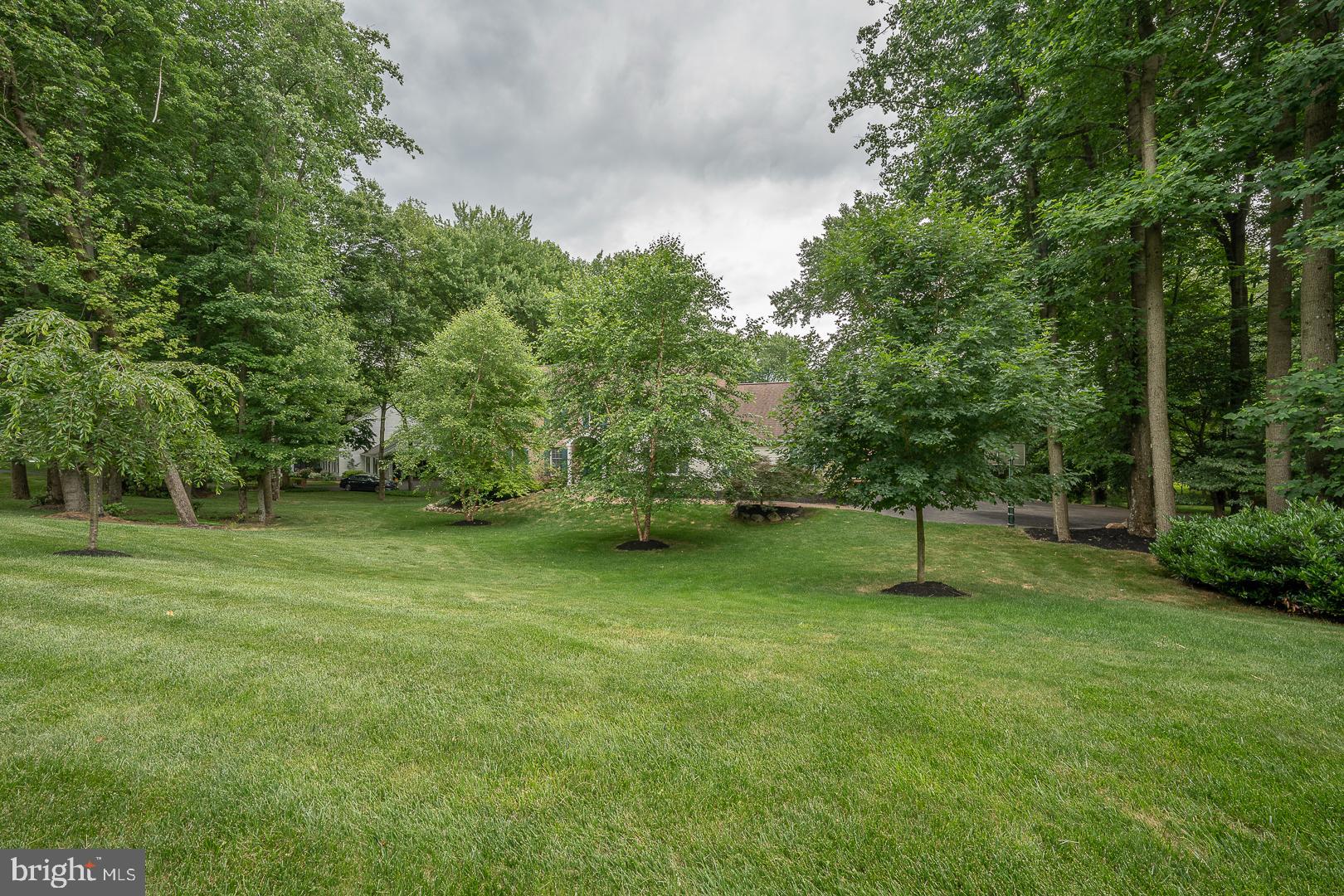 Private Setting with trees in front
