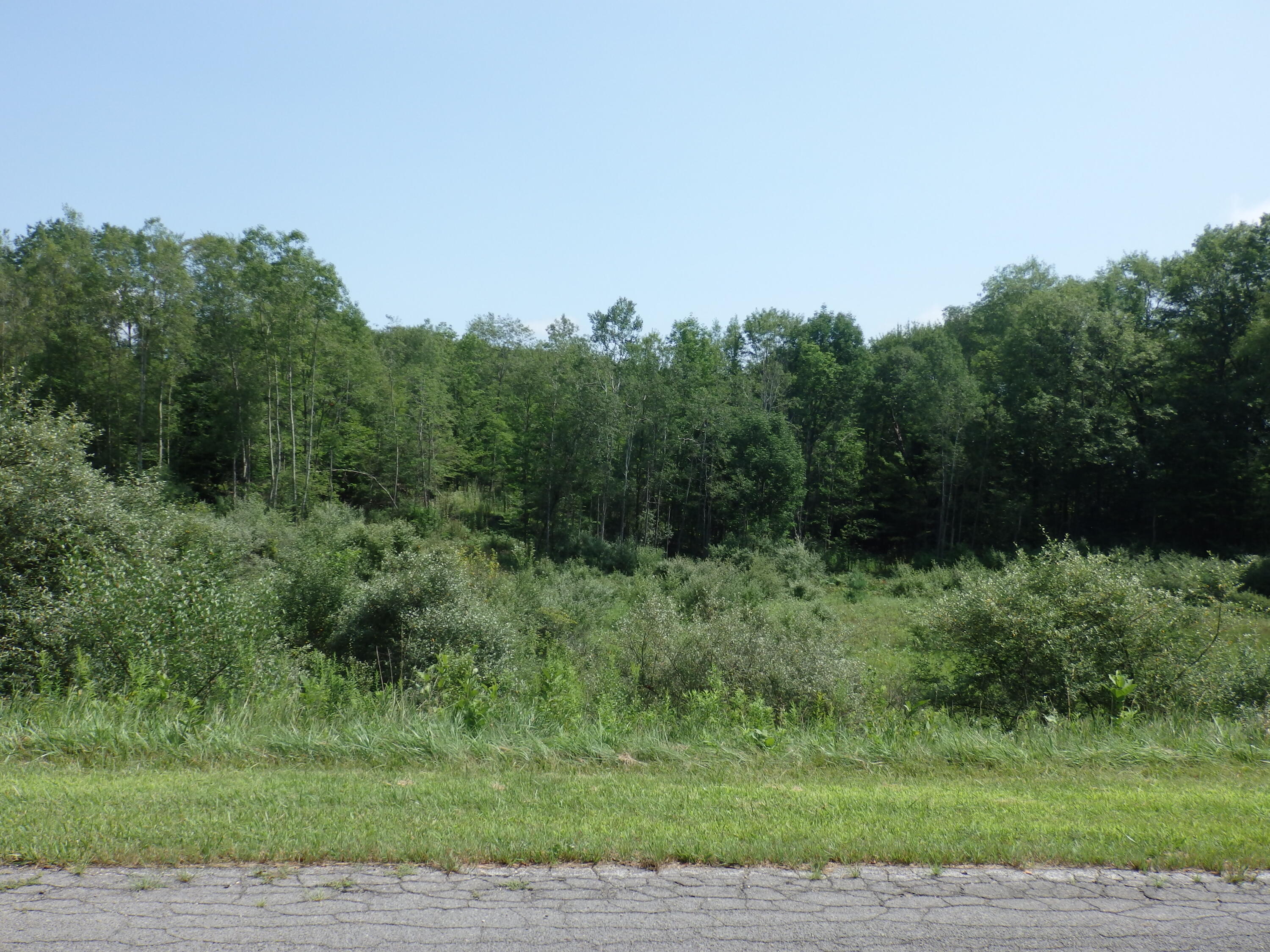 3770 Fisk Road Manistee, MI 49660 - Photo 1 of 8 P8103233