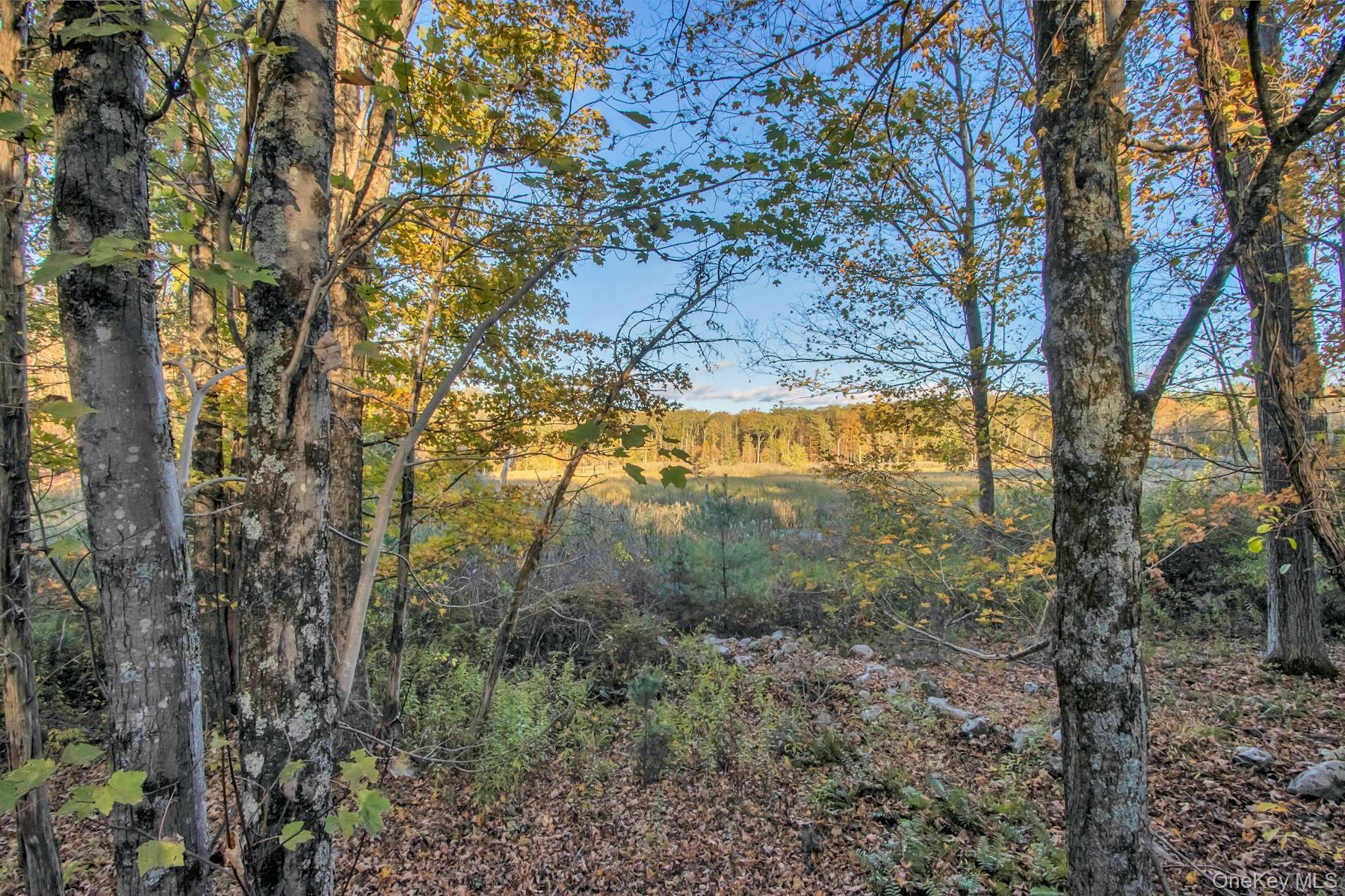 120 Dashville Road Esopus, NY 12561 - Photo 40 of 43