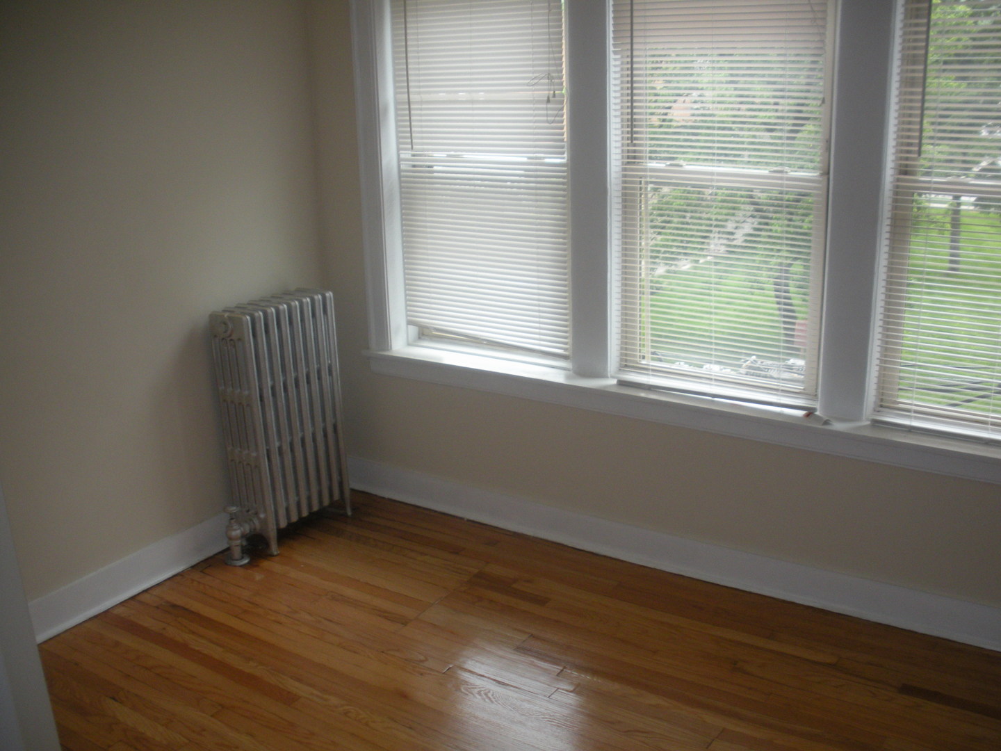 1729 West 91st Street, Unit 2 Chicago, IL 60620 - Photo 14 of 14 a view of a room with wooden floor and windows