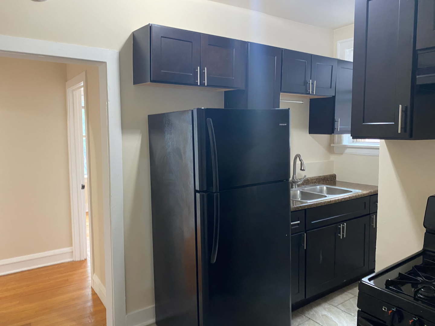 1729 West 91st Street, Unit 2 Chicago, IL 60620 - Photo 2 of 14 a kitchen with a sink and refrigerator