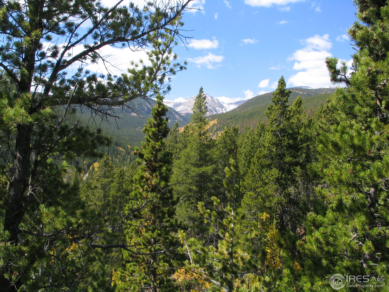 0 Dakota Ridge Road Idaho Springs, CO 80452 - Photo 13 of 17 Gallery Image 13