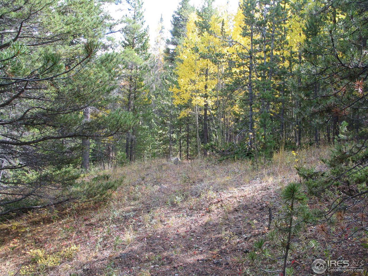 0 Dakota Ridge Road Idaho Springs, CO 80452 - Photo 17 of 17 Gallery Image 17