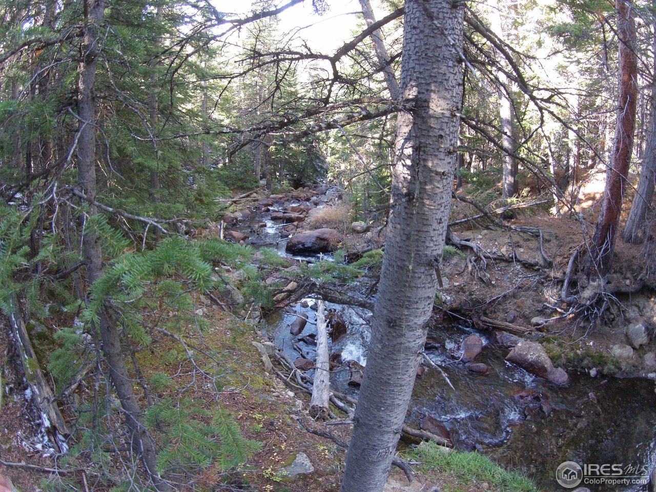 0 Dakota Ridge Road Idaho Springs, CO 80452 - Photo 5 of 17 Gallery Image 5
