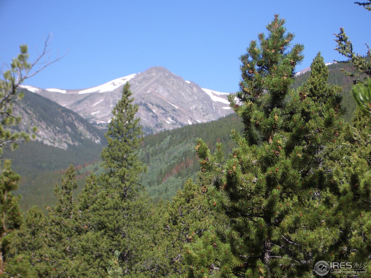 0 Dakota Ridge Road Idaho Springs, CO 80452 - Photo 8 of 17 Gallery Image 8