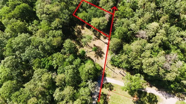 a view of a house with a tree