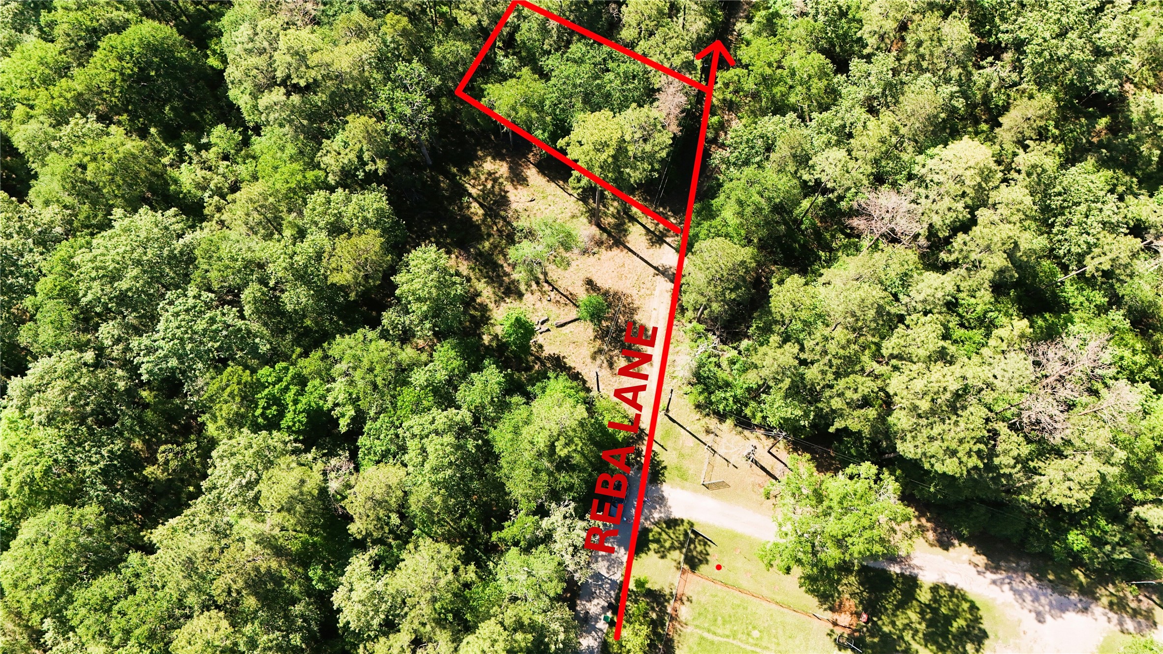 0 Reba Road Huffman, TX 77336 - Photo 2 of 5 a plant that is in a field