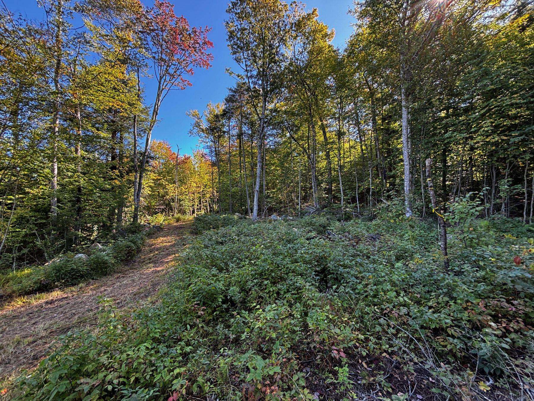 0 Little Pond Road Andover, VT 05143 - Photo 17 of 28 Gallery Image 17