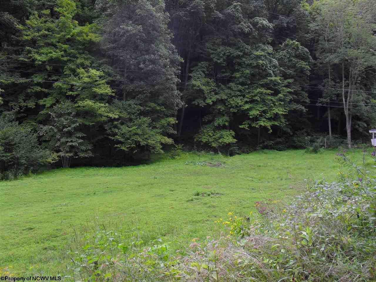 703 Thomas Fork Road Mannington, WV 26582 - Photo 4 of 20 Gallery Image 4