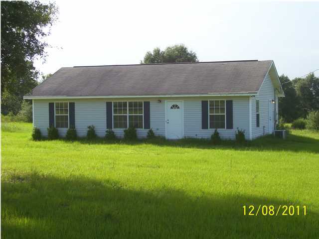 Primary Photo