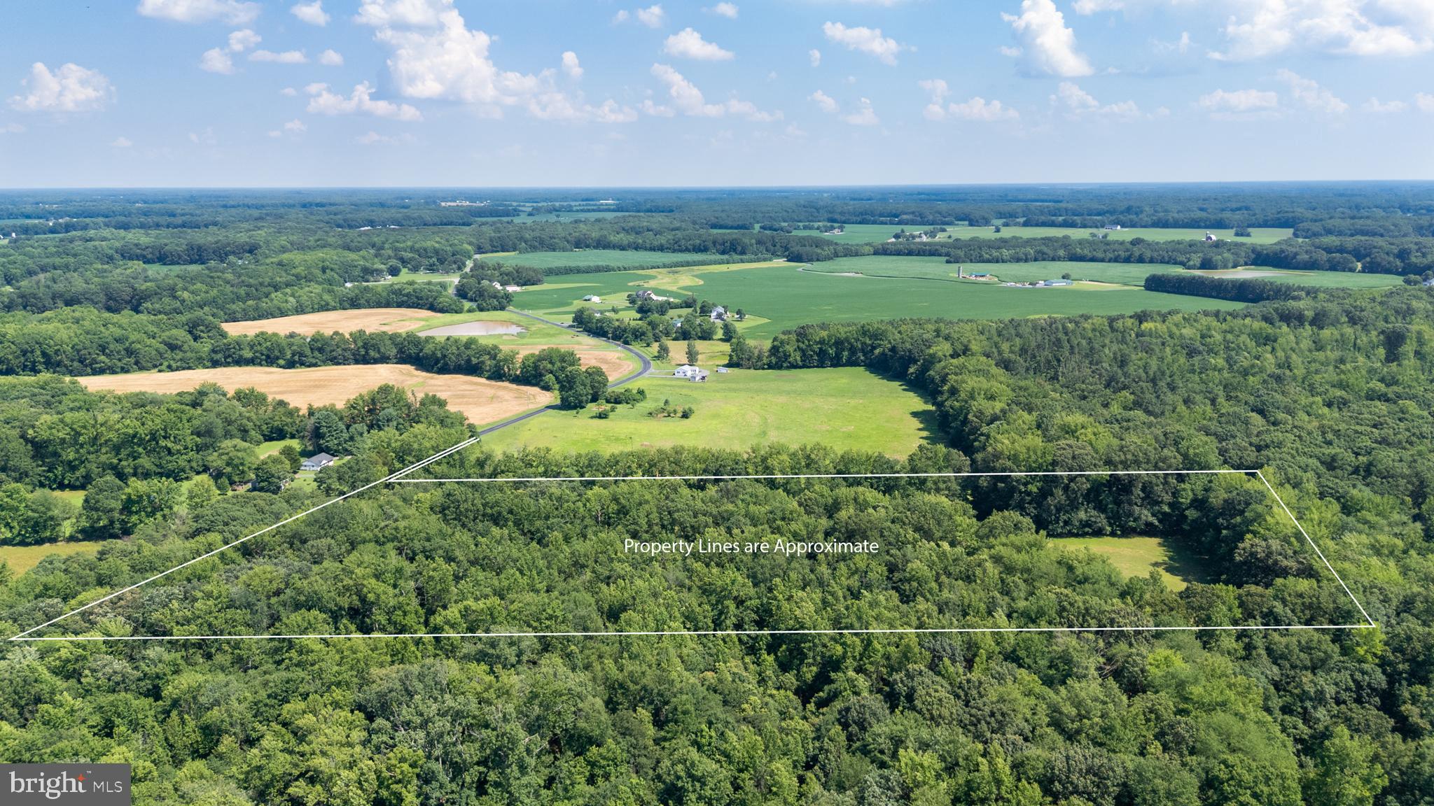 Hatchett Road Centreville, MD 21617 - Photo 4 of 6 a view of a city with lush green forest