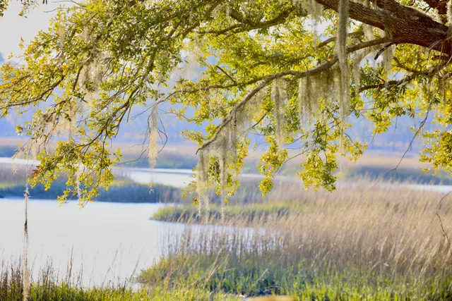 $395,000 | 4559 Smoak Road, Meggett, SC 29449