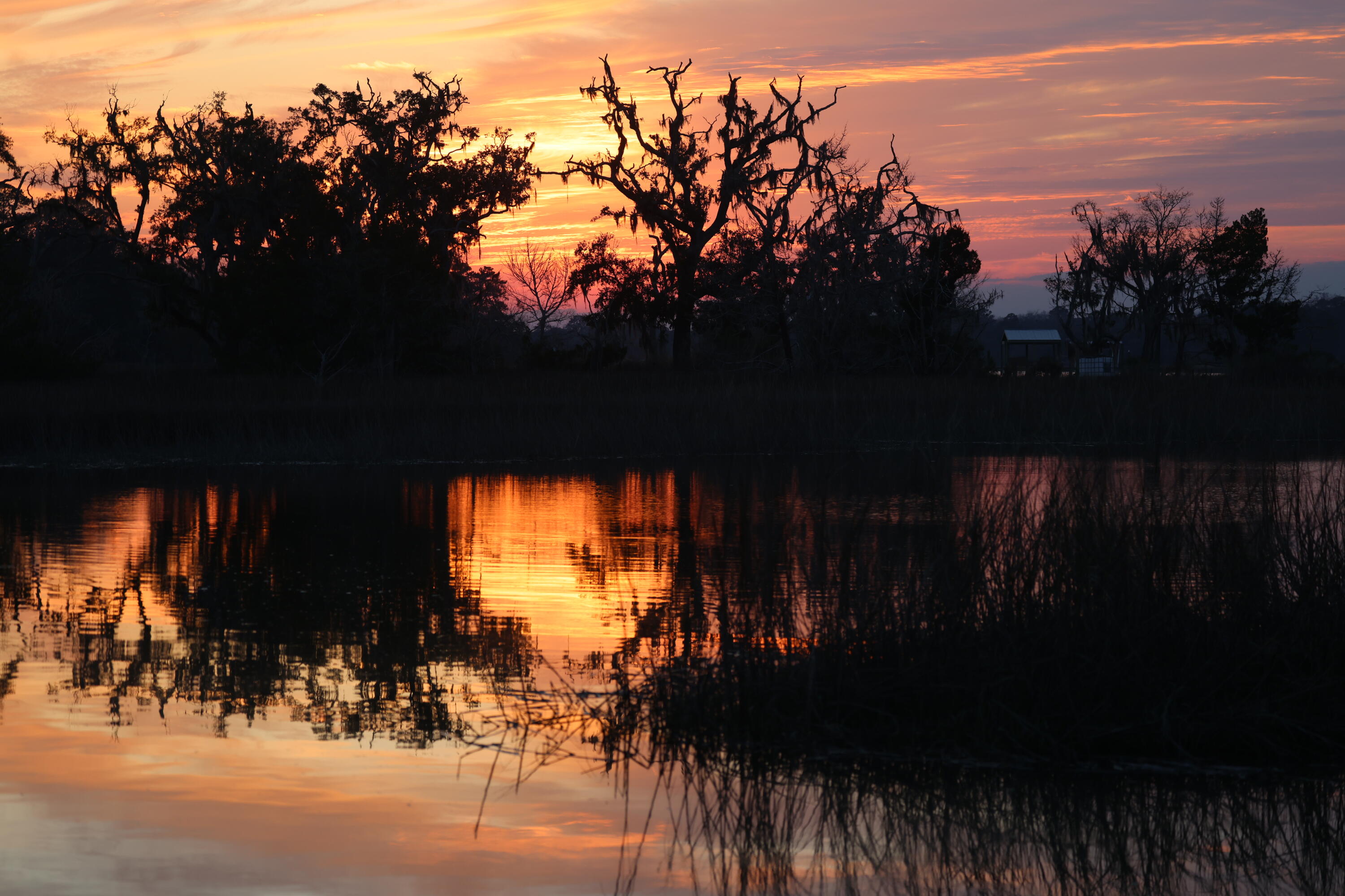 4559 Smoak Road Meggett, SC 29449 - Photo 13 of 31 Dusk