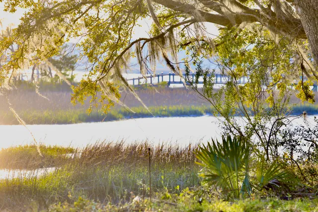 $395,000 | 4559 Smoak Road, Meggett, SC 29449