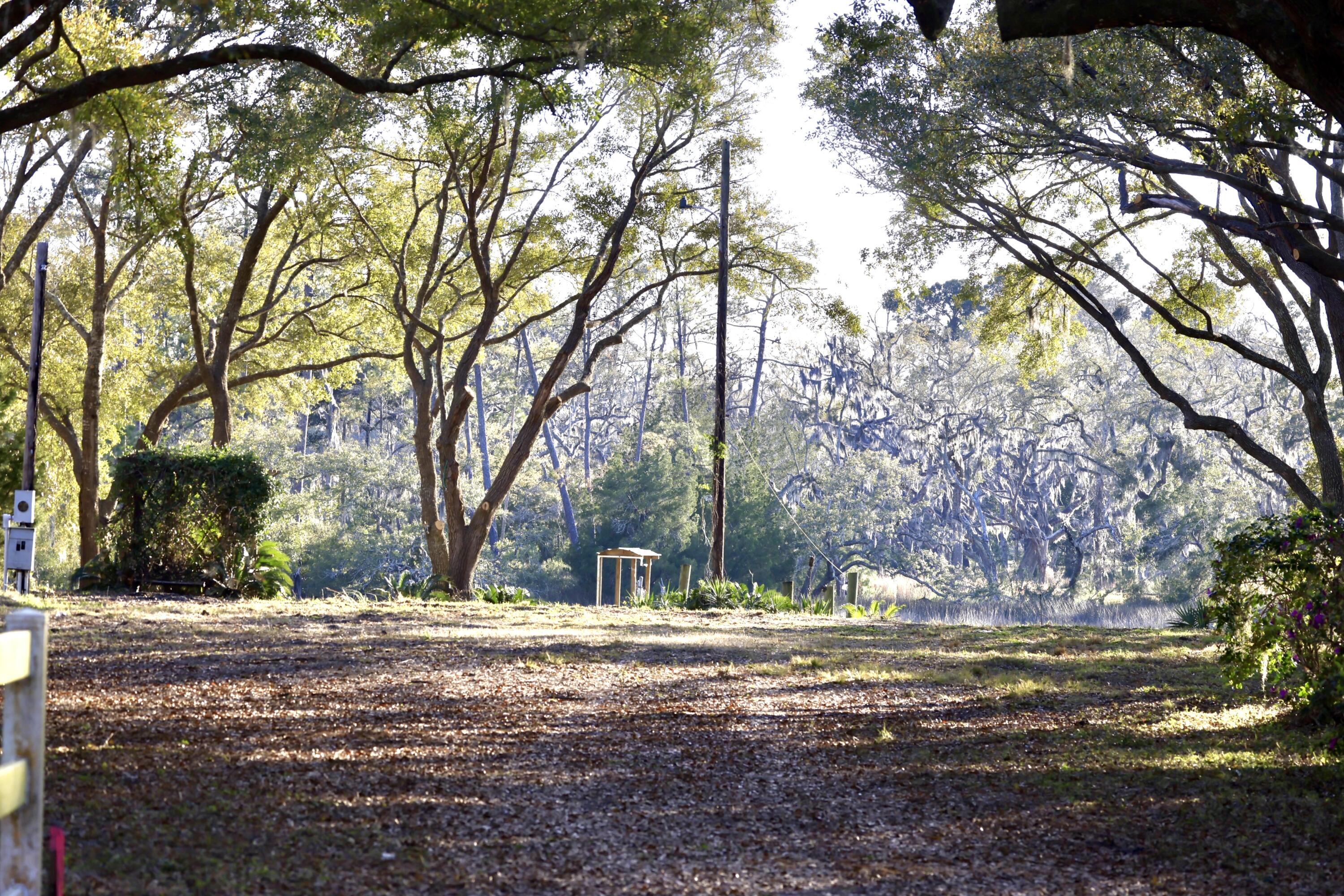 4559 Smoak Road Meggett, SC 29449 - Photo 5 of 31 cleared lot