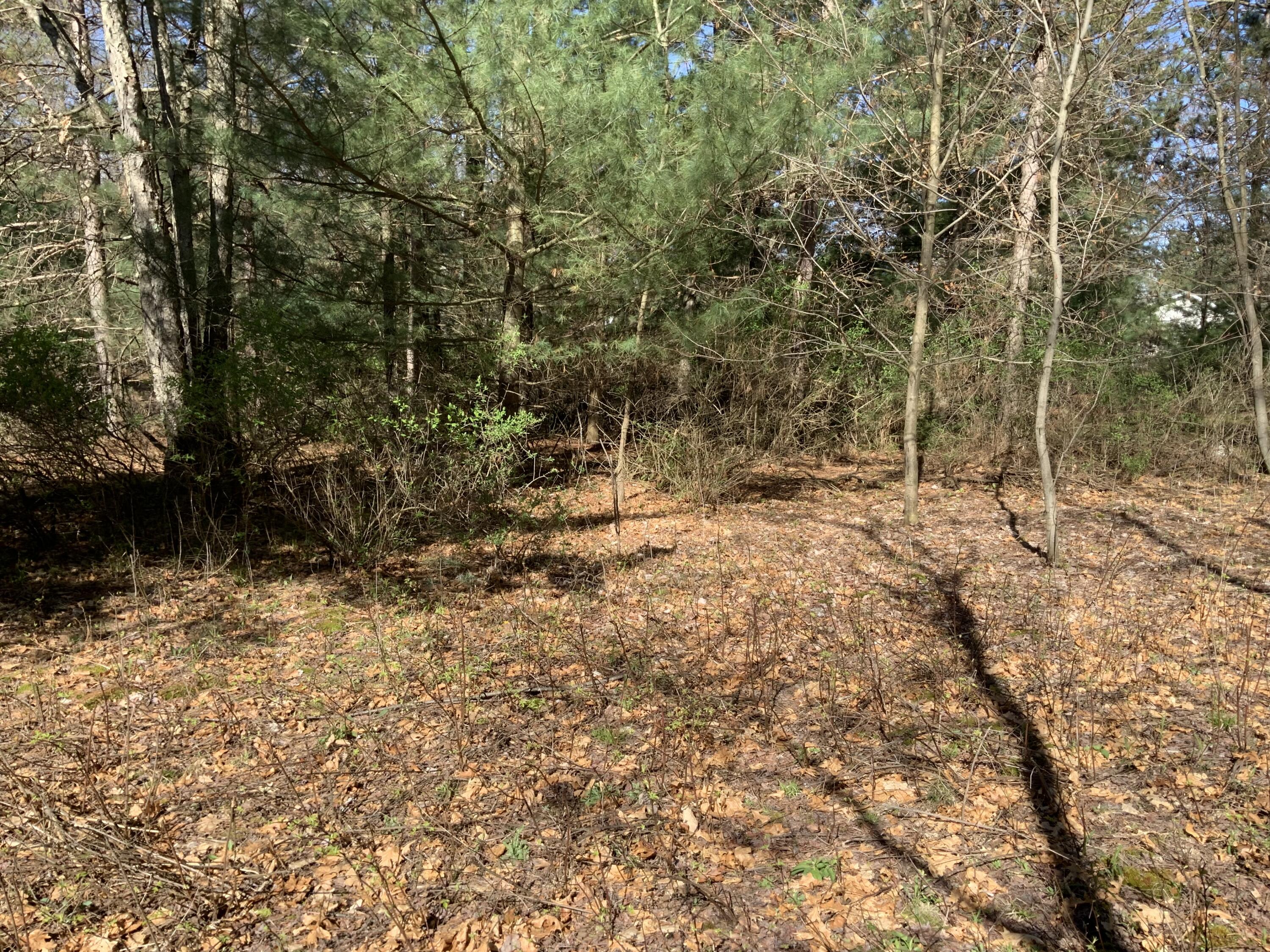 17871 3 Mile Road Hersey, MI 49639 - Photo 27 of 29 IMG_2530