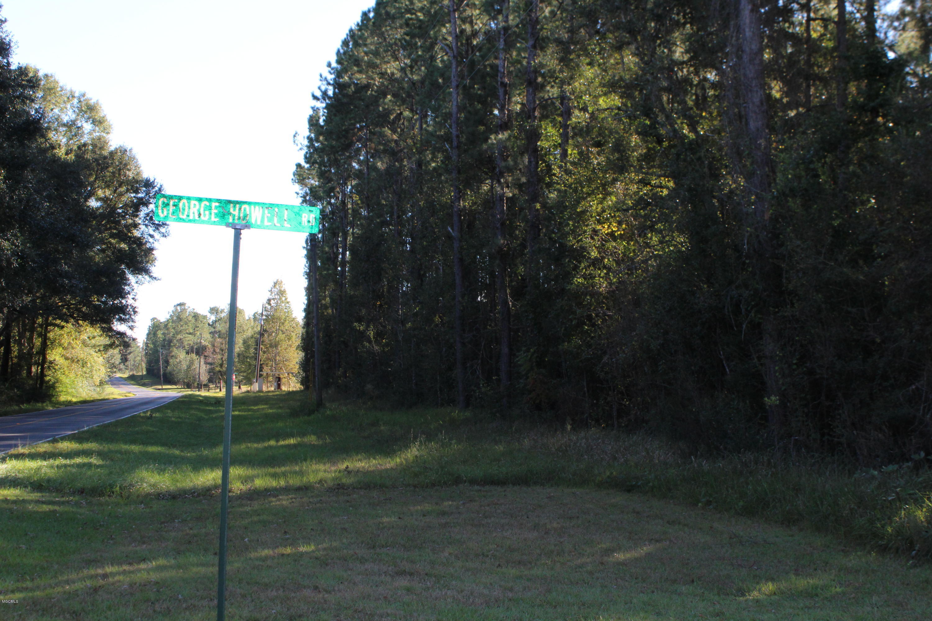 3.9 Basin-Central Road Lucedale, MS 39452 - Photo 1 of 9 IMG_3315
