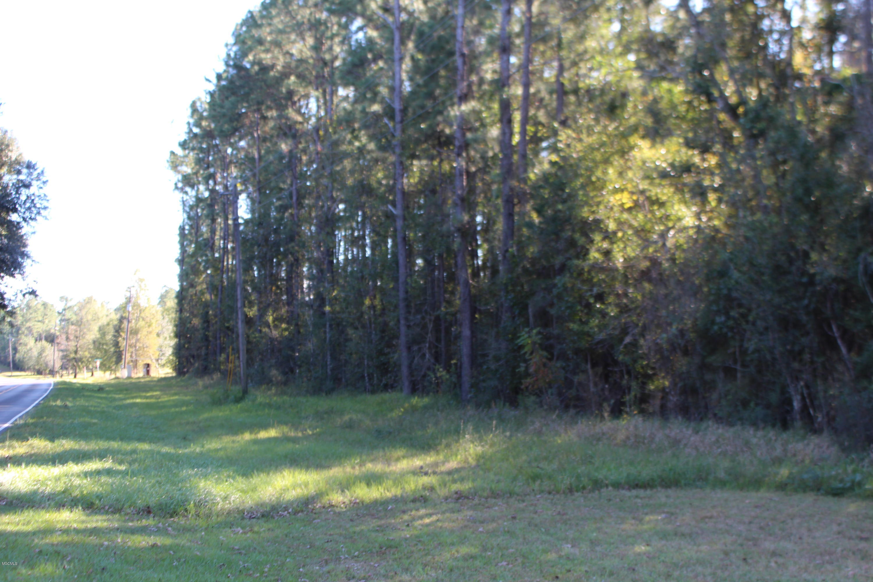 3.9 Basin-Central Road Lucedale, MS 39452 - Photo 2 of 9 IMG_3314