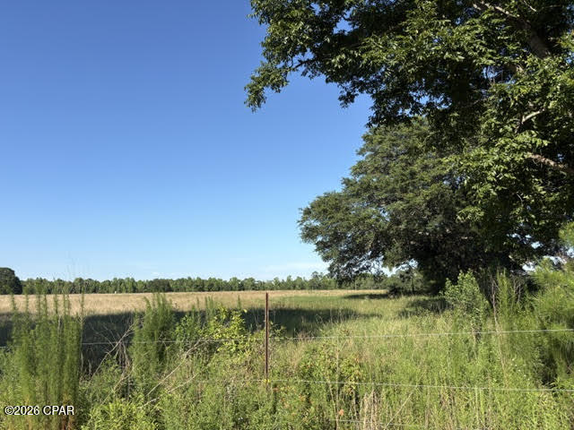 0 Galloway Road Graceville, FL 32440 - Photo 12 of 12