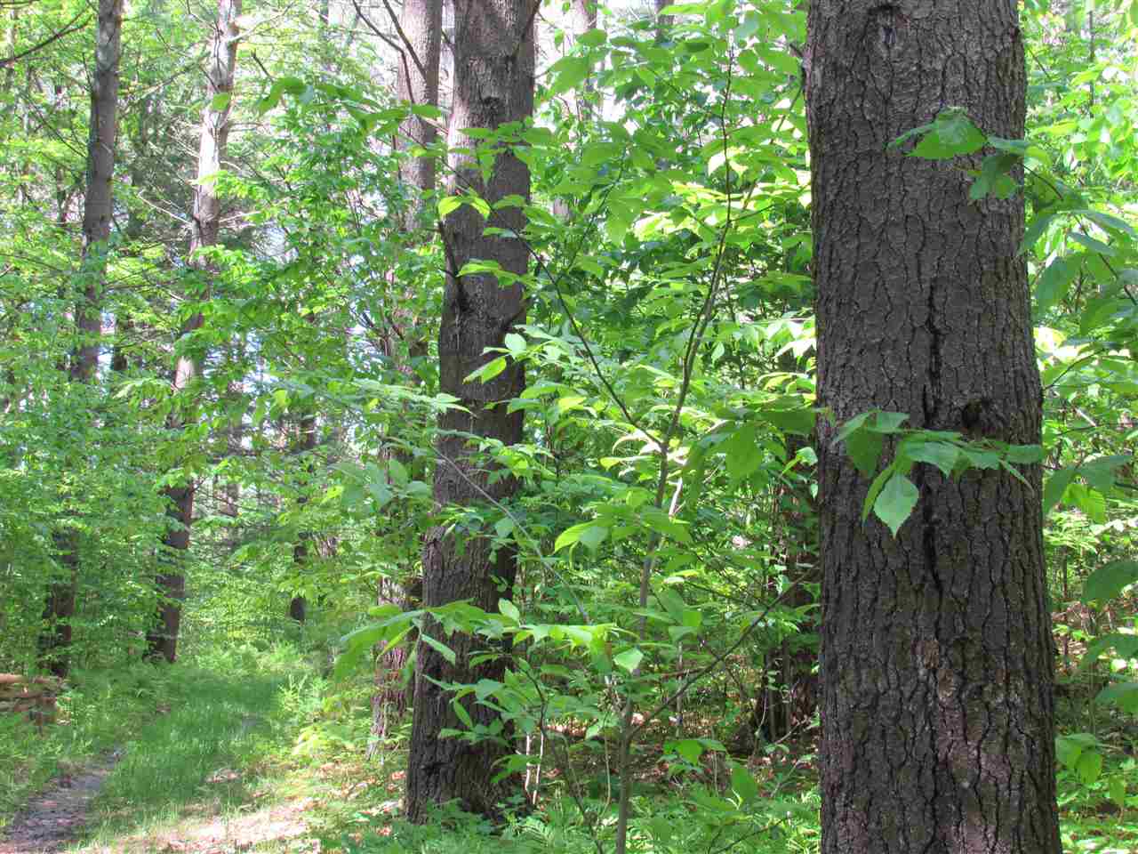 Sheddsville Road West Windsor, VT 05089 - Photo 22 of 22