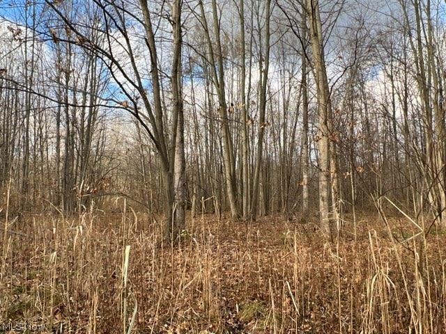1291 Old Kyle Road Dorset, OH 44032 - Photo 3 of 21