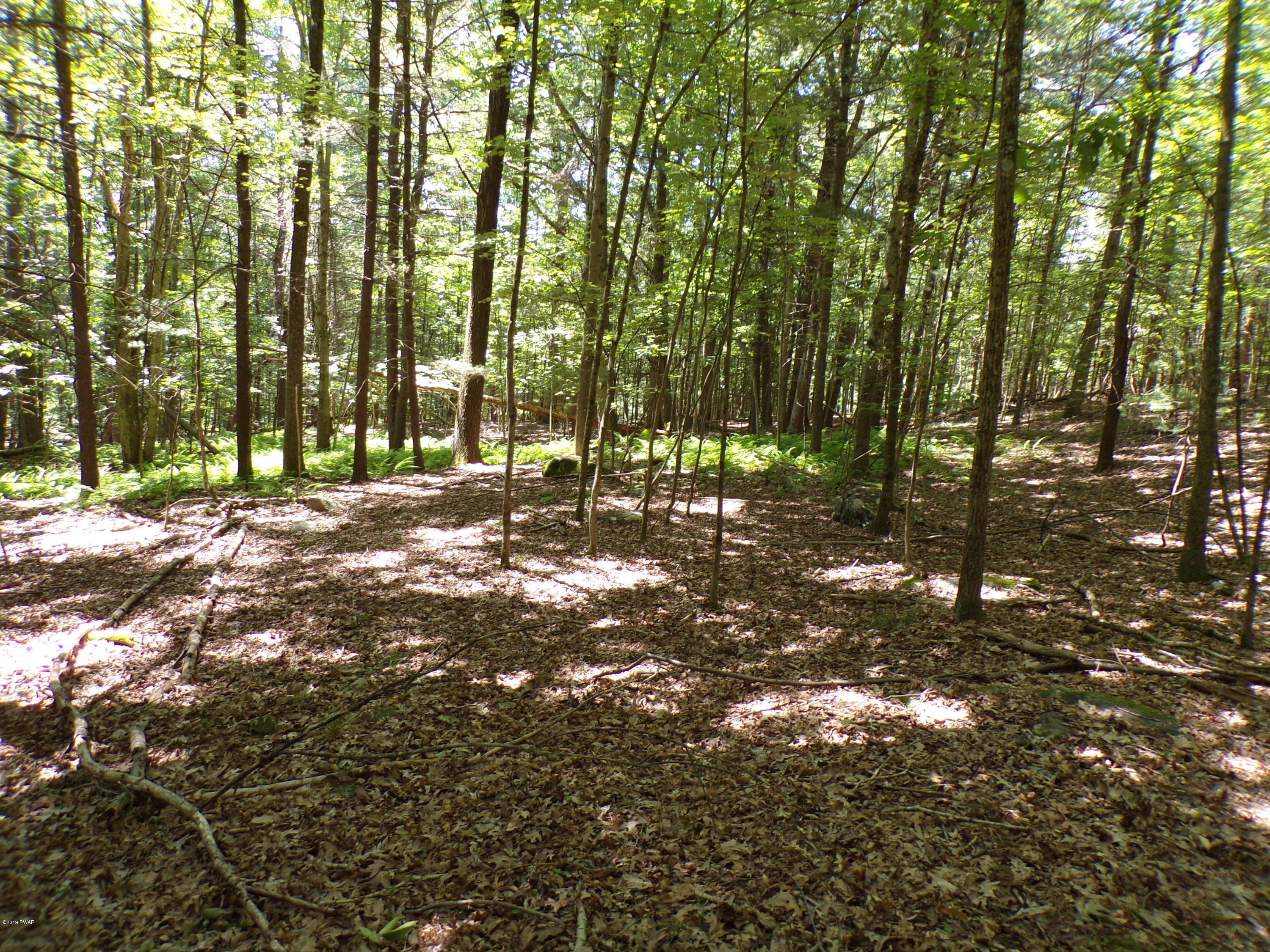 3 Spruce Street Lake Ariel, PA 18436 - Photo 6 of 9