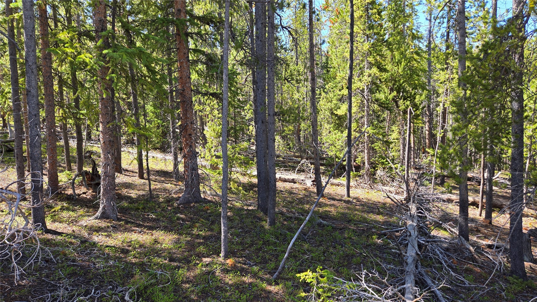 Tbd Summit Gulch Road Breckenridge, CO 80424 - Photo 19 of 30 a backyard of a house with lots of plants and large trees