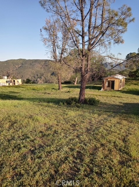 552 Watertrough Road Clearlake Oaks, CA 95423 - Photo 17 of 24 a view of a yard with an outdoor space