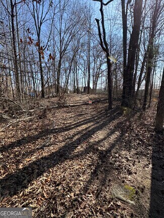 4105 Parks Road Flowery Branch, GA 30542 - Photo 1 of 2 a view of a yard with trees