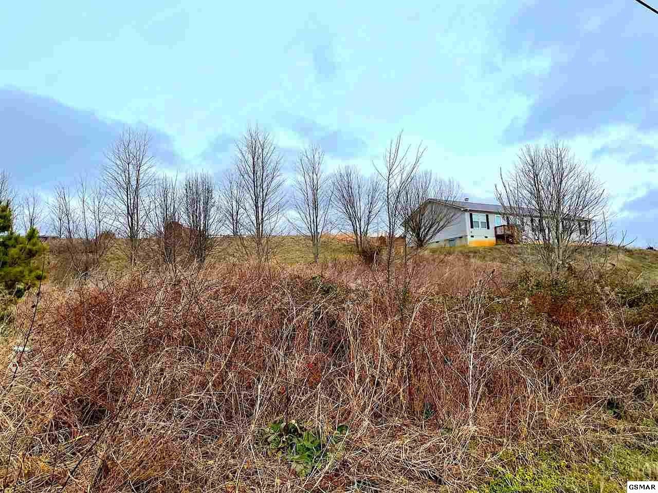7 Ebenezer Road Chuckey, TN 37641 - Photo 3 of 8