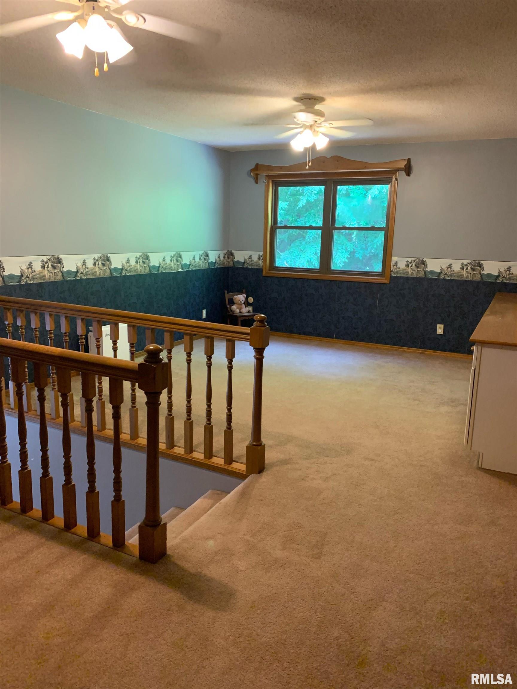 510 County Line Road Jonesboro, IL 62952 - Photo 16 of 34 Gallery Image 16