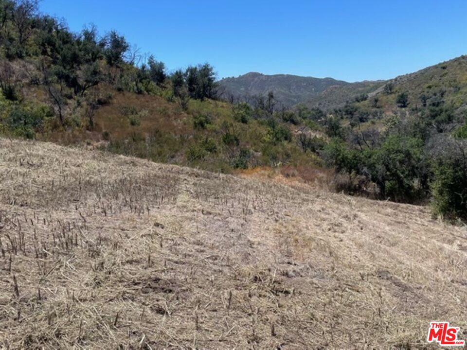 a view of a dry yard with mountains in the background