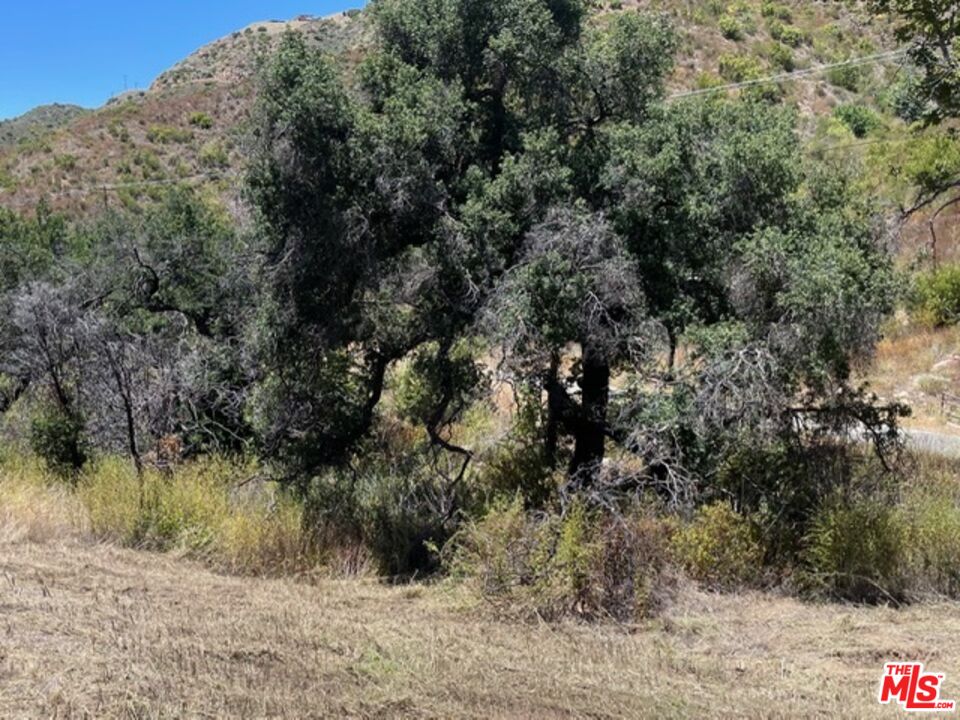0 Newton Canyon Road Malibu, CA 90265 - Photo 2 of 4 a view of a forest filled with trees