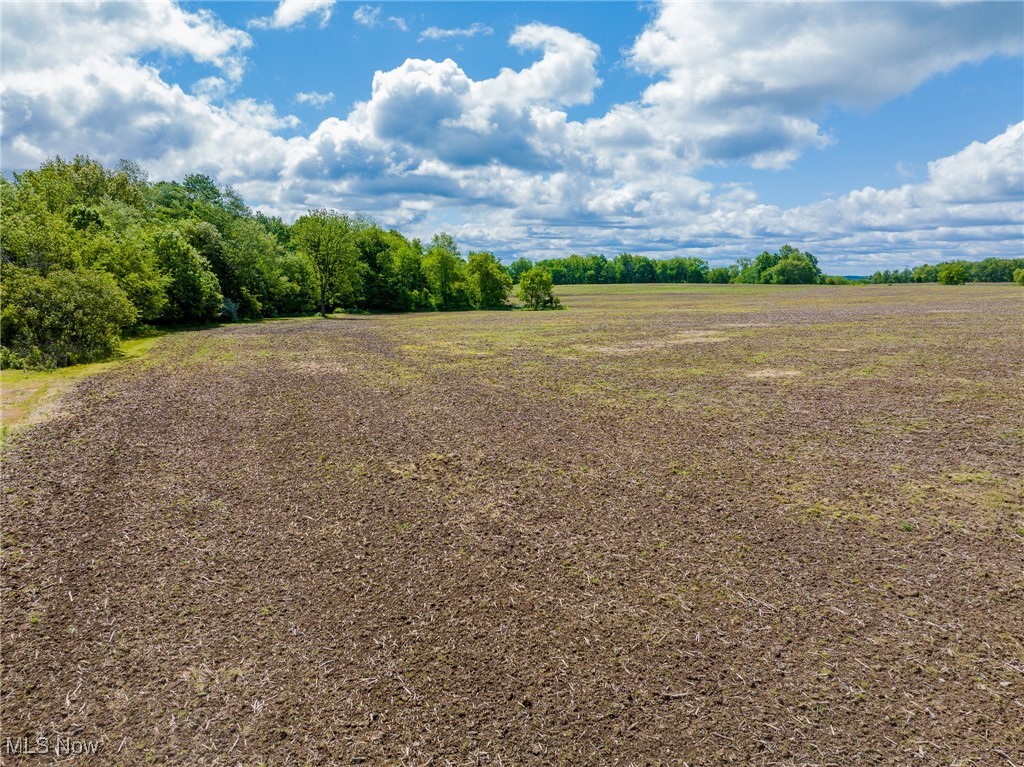 5130 Smith Road Southwest Navarre, OH 44662 - Photo 8 of 11 Gallery Image 8