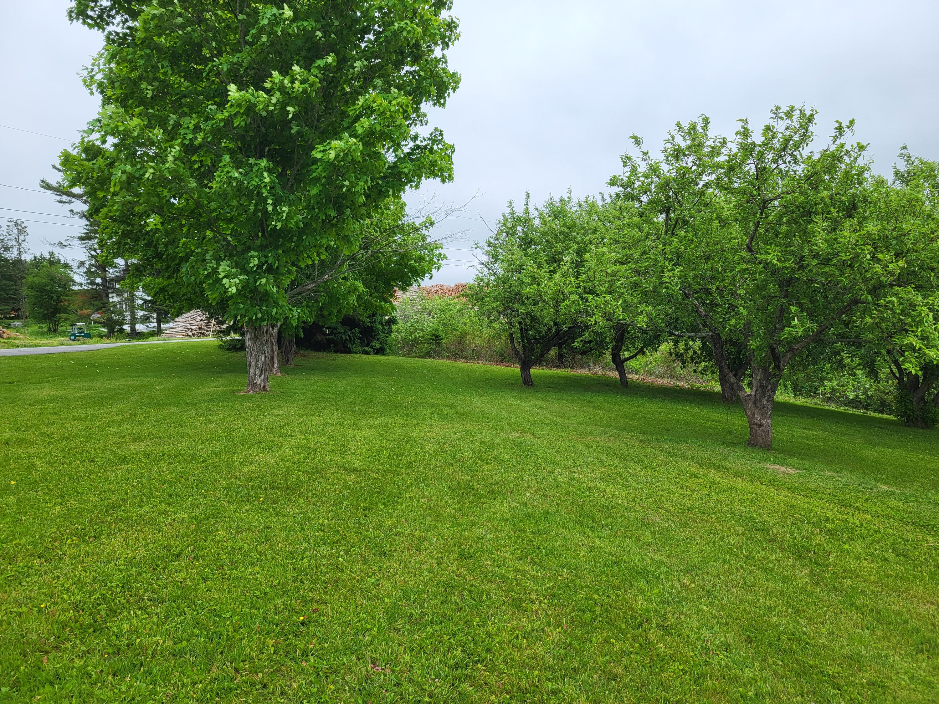 305 Fuller Road Easton, ME 04740 - Photo 18 of 79 1000039829