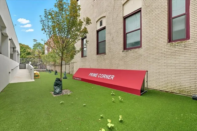 a view of back yard of the house with a yard