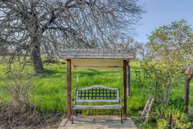 a view of a yard with plants