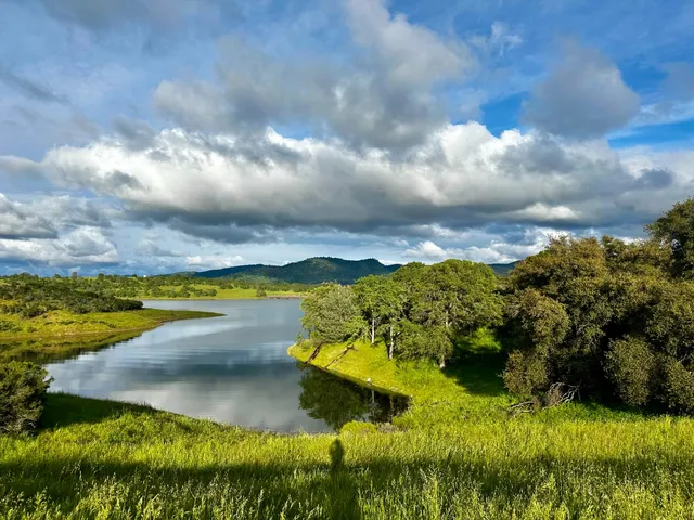 a view of a golf course with a garden